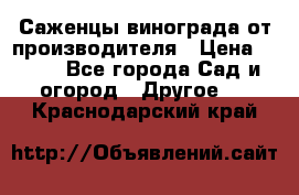 Саженцы винограда от производителя › Цена ­ 800 - Все города Сад и огород » Другое   . Краснодарский край